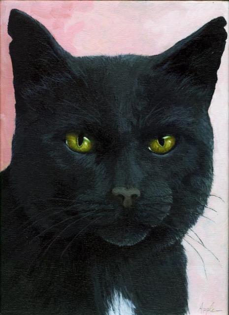 Brambles - black cat portrait