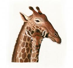 Giraffe - original wildlife animal illustration painting art