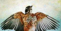 Sebastion the Red Robin - nature art realistic Bird painting